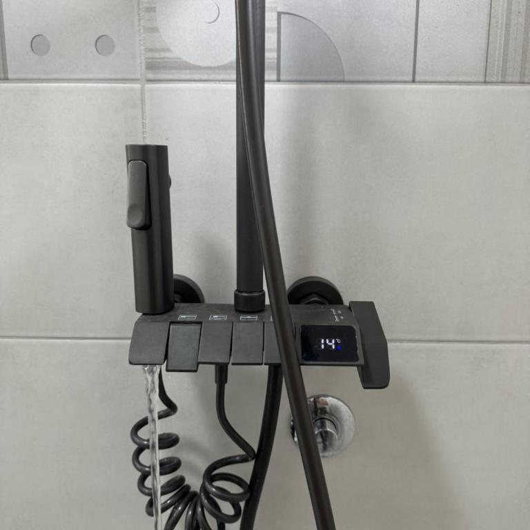 Mitić Apartman's 1 - Deluks Studio - 31