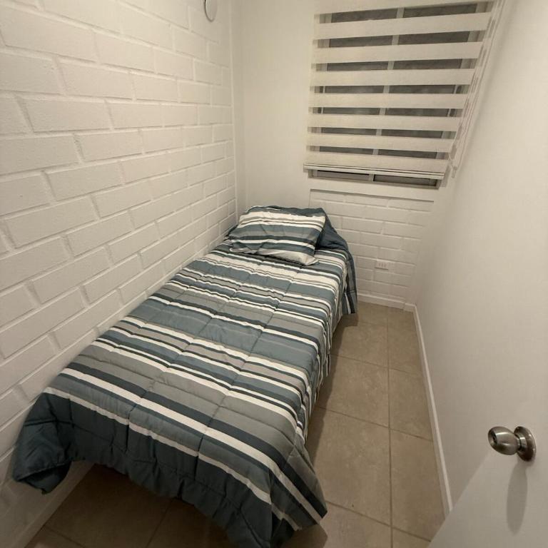Julieta kirkwood - Three-Bedroom House - 4