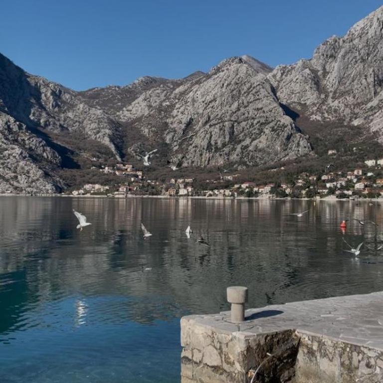 Marina Ljuta apartment - Apartman sa 1 Spavaćom Sobom - 20