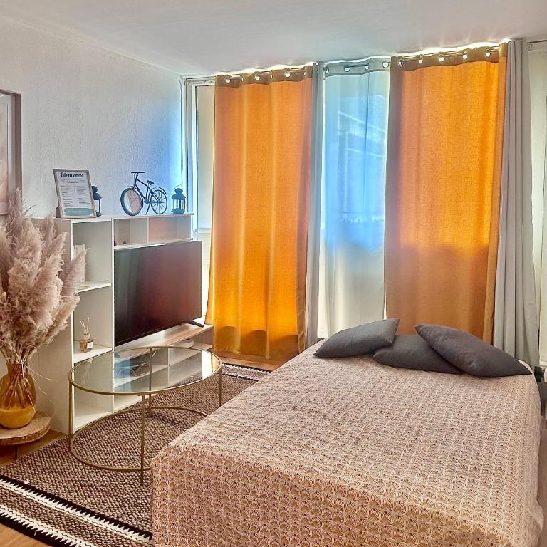 Le Saint Jaumes parking inclus - Appartamento con 1 Camera da Letto - 5