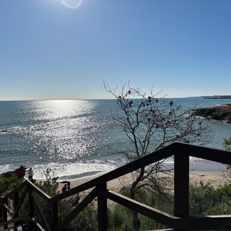 Apartamento en primera línea de playa - Apartamento de 1 dormitorio - 22