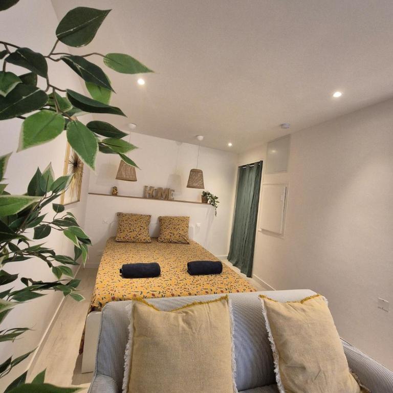 Casa Paloma - Centre ville Arles - Apartment mit 1 Schlafzimmer - 21