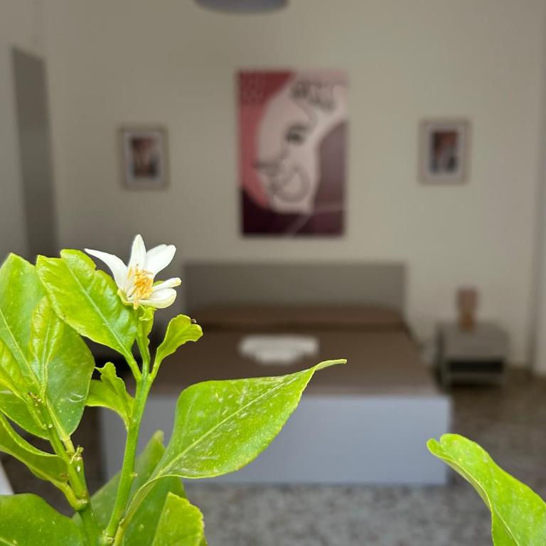 Josky Apartment - Appartamento con 2 Camere da Letto - 1