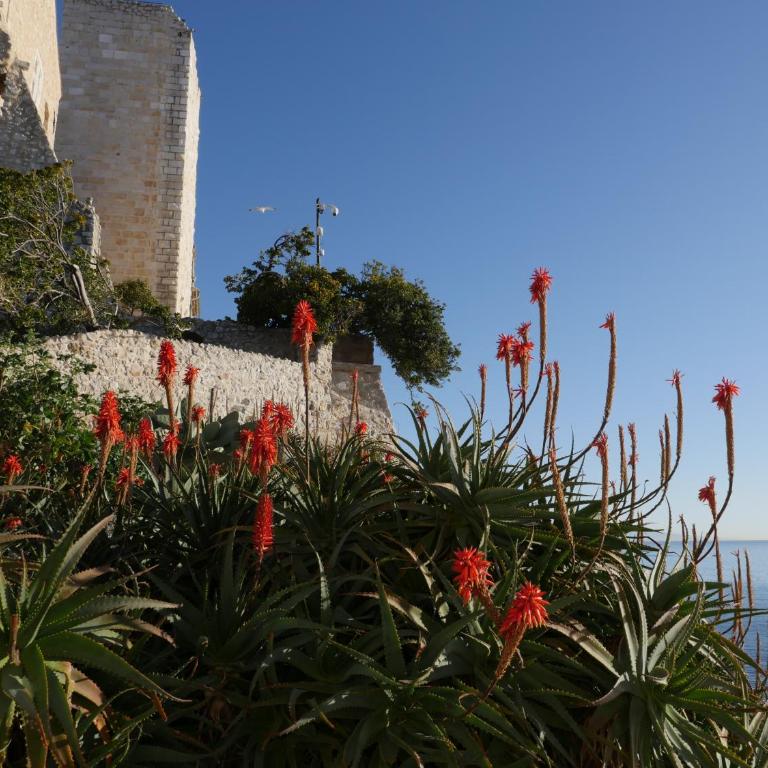 TDR - Fabulous - 5 STARS Terrace - 4pax Old Town - Appartement 1 Chambre - 43