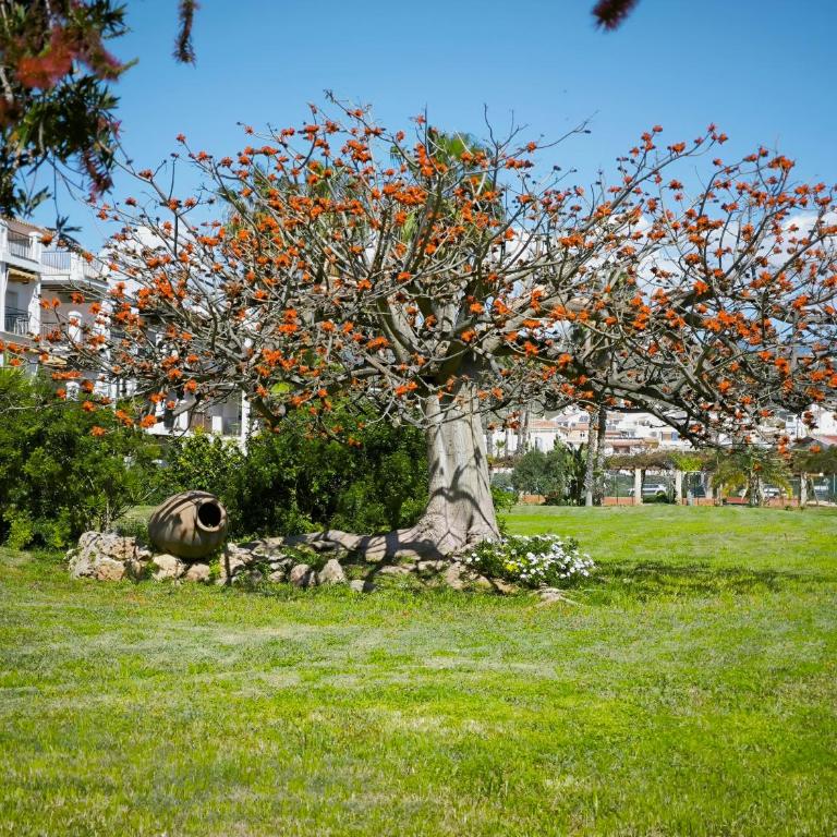 Cayo Beach - One-Bedroom Apartment - 11