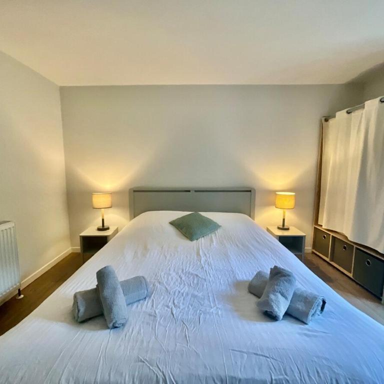 Le Duplex Géromois, beautiful apartment & city center - Appartement 2 Chambres - 8