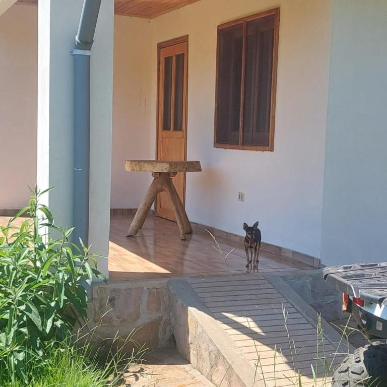Granja Francisca - Apartamento de 2 dormitorios - 8