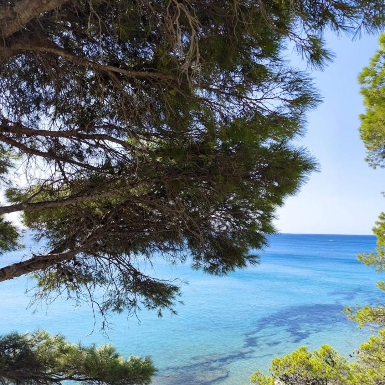 La Cala Azul - con piscina y WiFi - Apartamento de 2 dormitorios - 24