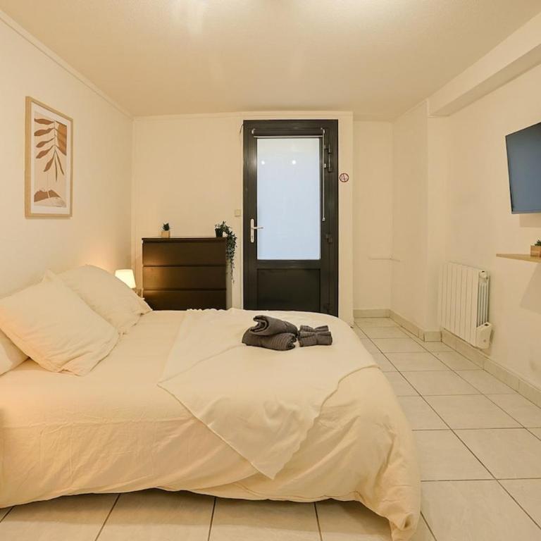 Le Cocon Urbain-Hyper centre - Appartement 1 Chambre - 16