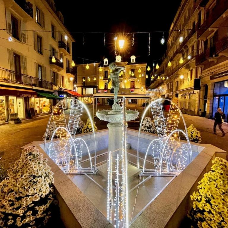 Charmant T3 ,100m2, centre ville, classé 3 étoiles - Appartamento con 2 Camere da Letto e con Vista - 11