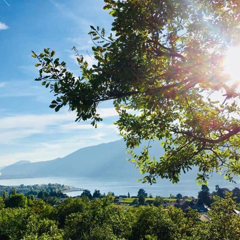 Charmant T3 ,100m2, centre ville, classé 3 étoiles - Appartamento con 2 Camere da Letto e con Vista - 34