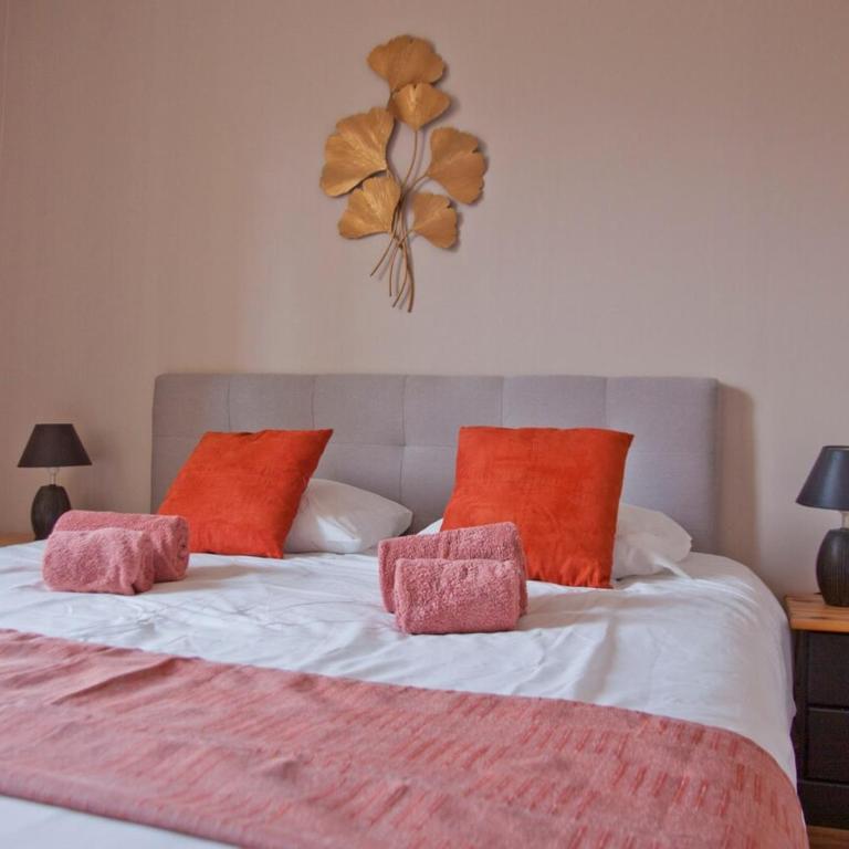 Charmant T3 ,100m2, centre ville, classé 3 étoiles - Appartamento con 2 Camere da Letto e con Vista - 36