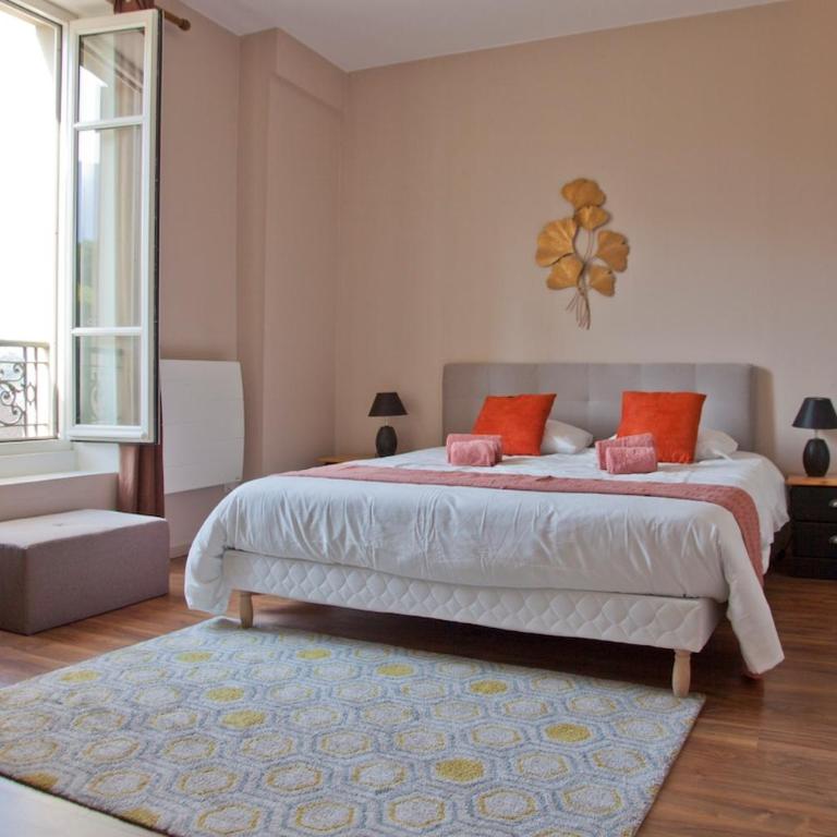 Charmant T3 ,100m2, centre ville, classé 3 étoiles - Appartamento con 2 Camere da Letto e con Vista - 39