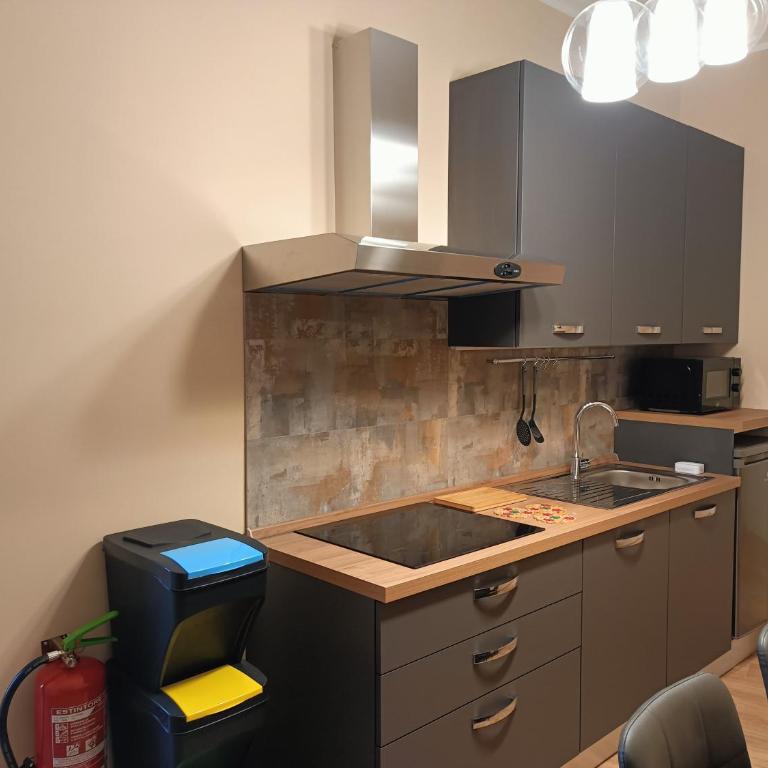 Borgese Apartments - Appartamento con 1 Camera da Letto - 7