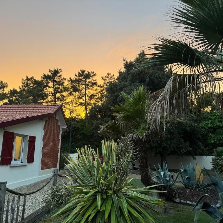 Villa Plage à 130 m SPA Piscine partagés - Villa mit 1 Schlafzimmer - 2