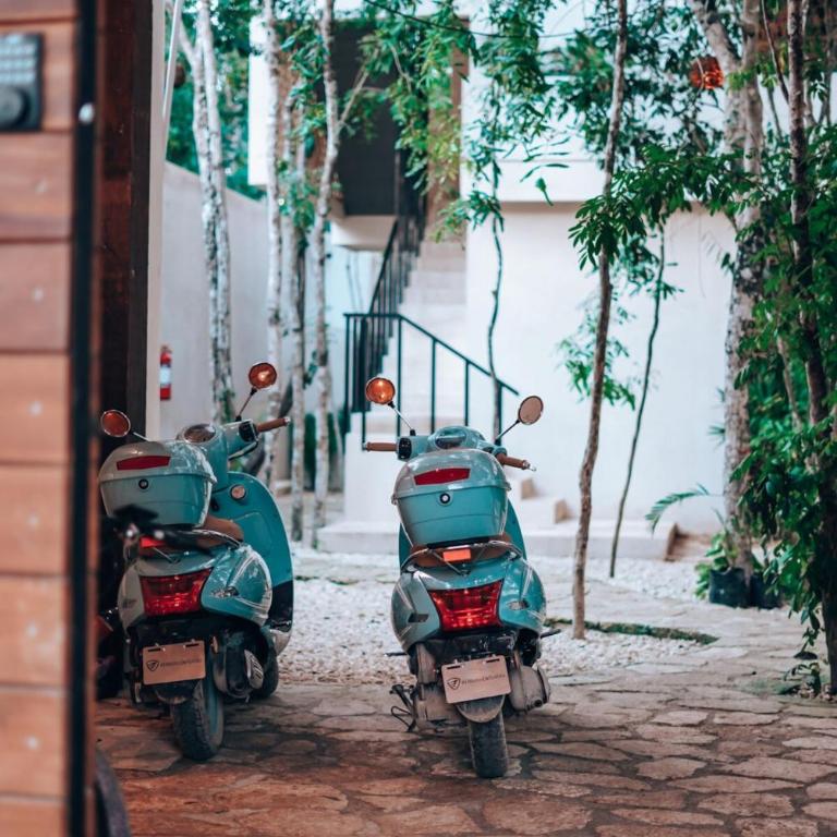 Homa Tulum - One-Bedroom Apartment - 23