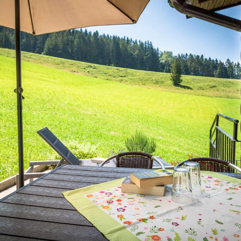 Ferienwohnung Angerlgut - Appartement avec Terrasse - 19
