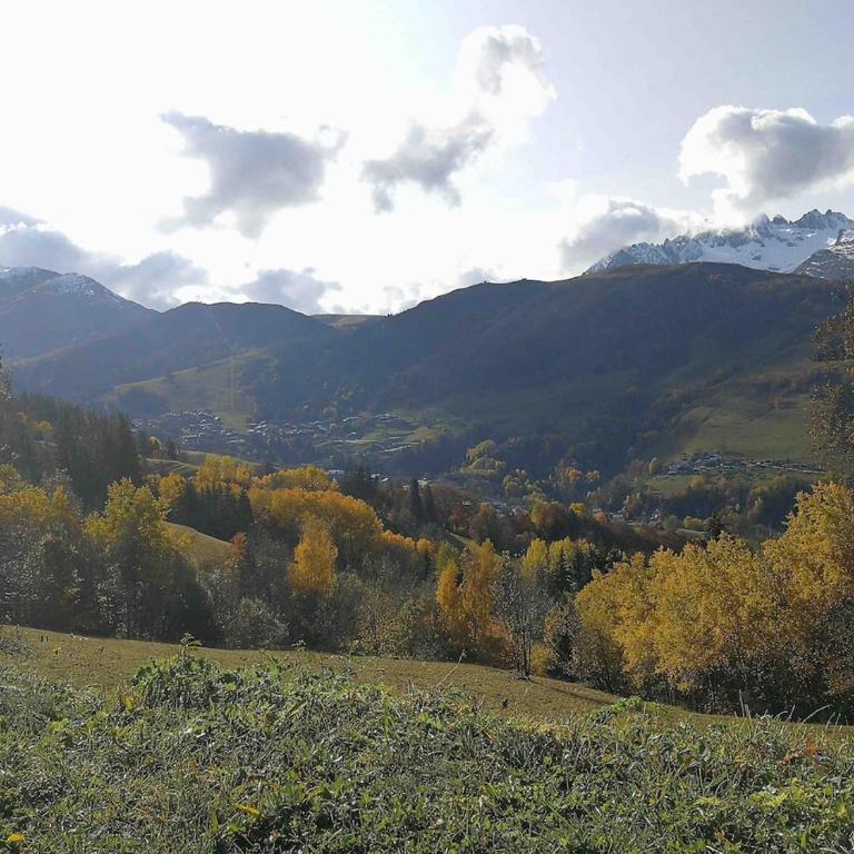 Appartement près des pistes - Appartamento con 2 Camere da Letto - 2