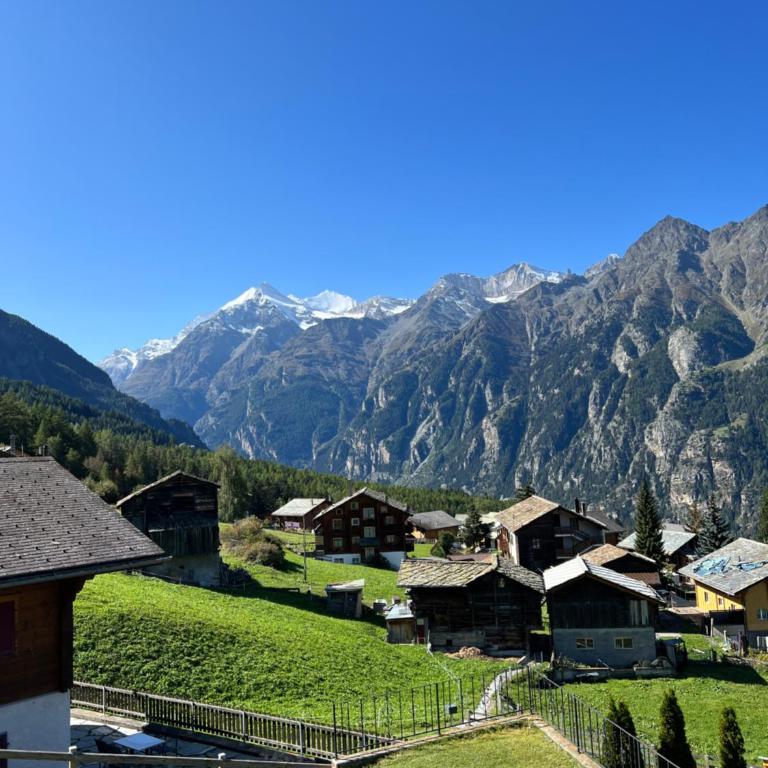 Chalet Safran - Apartment mit 3 Schlafzimmern und Bergblick - 31