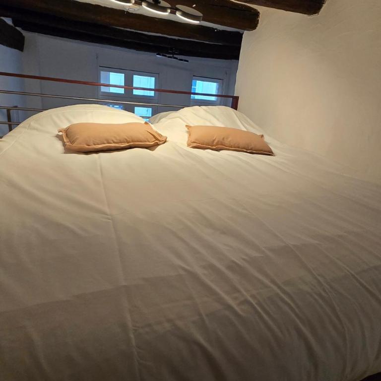 L'Expérience Tourangelle #1 - Appartamento con 1 Camera da Letto - 7
