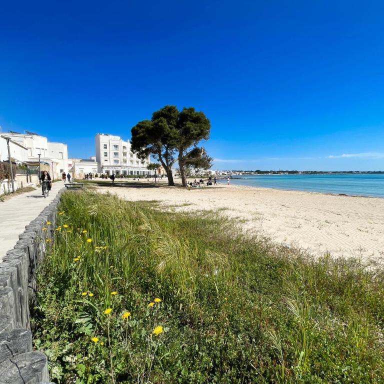 Apartment La tela di Dusolina - Appartamento con 2 Camere da Letto - 4