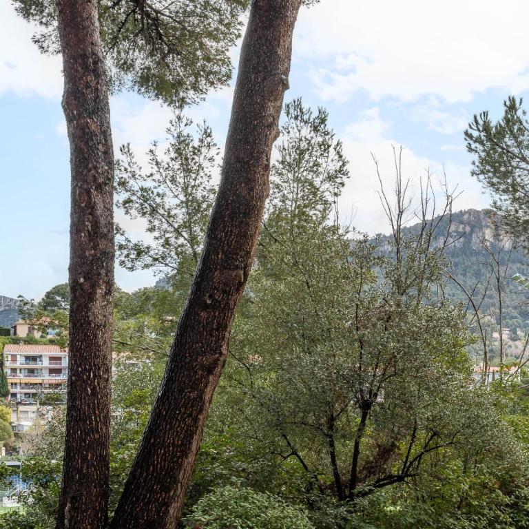 Lou Pichot par Dodo à Cassis - Apartment mit 1 Schlafzimmer - 15