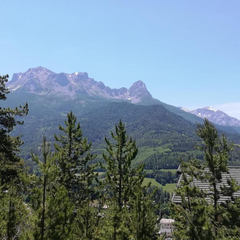 app 2 à 4 pers Barcelonnette vue montagne proche stations - Apartment mit 2 Schlafzimmern - 2