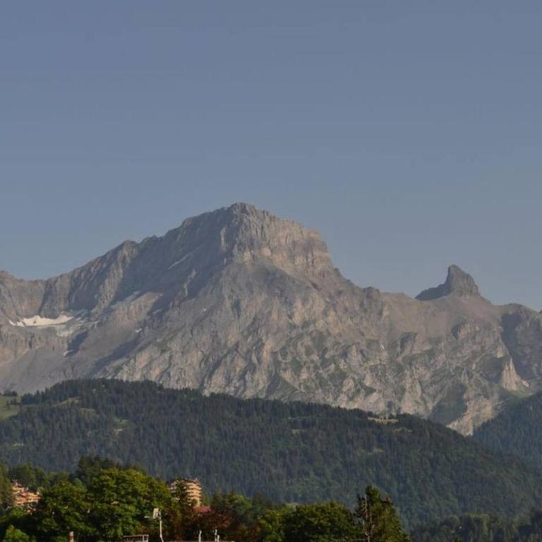 Stylish Traditional Chalet - Haus mit 5 Schlafzimmern - 24