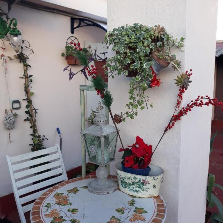 La Casina on the roof - studio - Appartamento con 1 Camera da Letto - 22