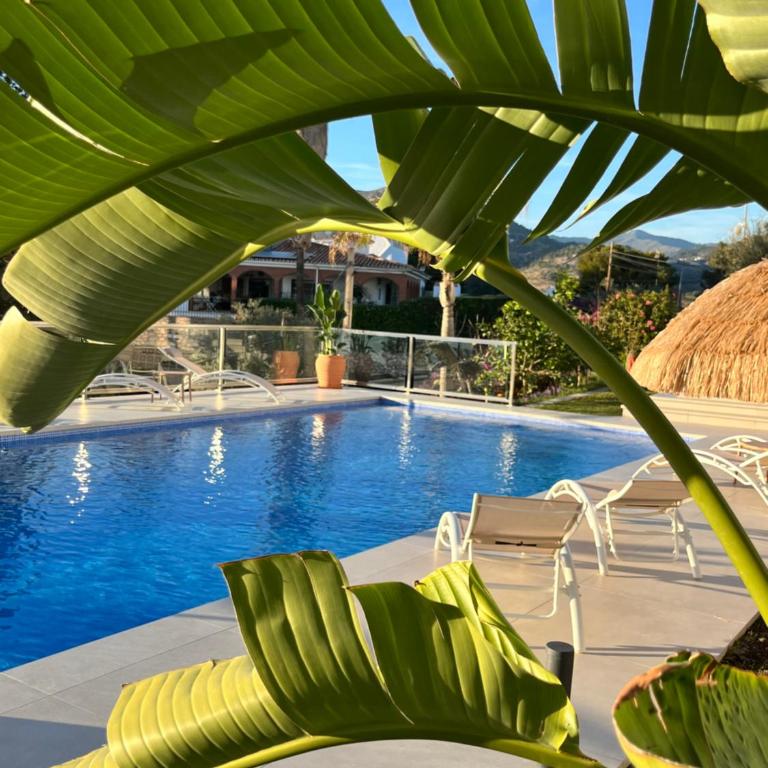 Candado Golf and heated Pool by MalagadeVacaciones - Villa - 94