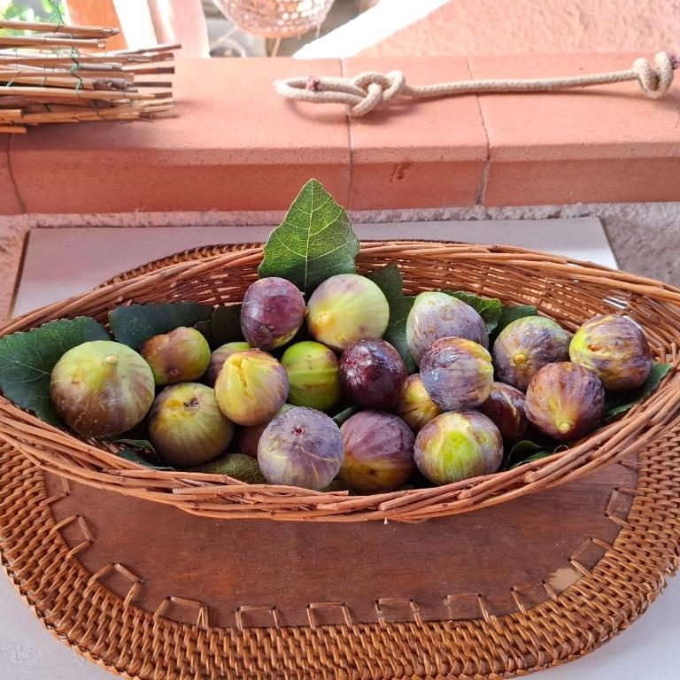 Bed and Breakfast La Reale - Camera Matrimoniale con Balcone - 18
