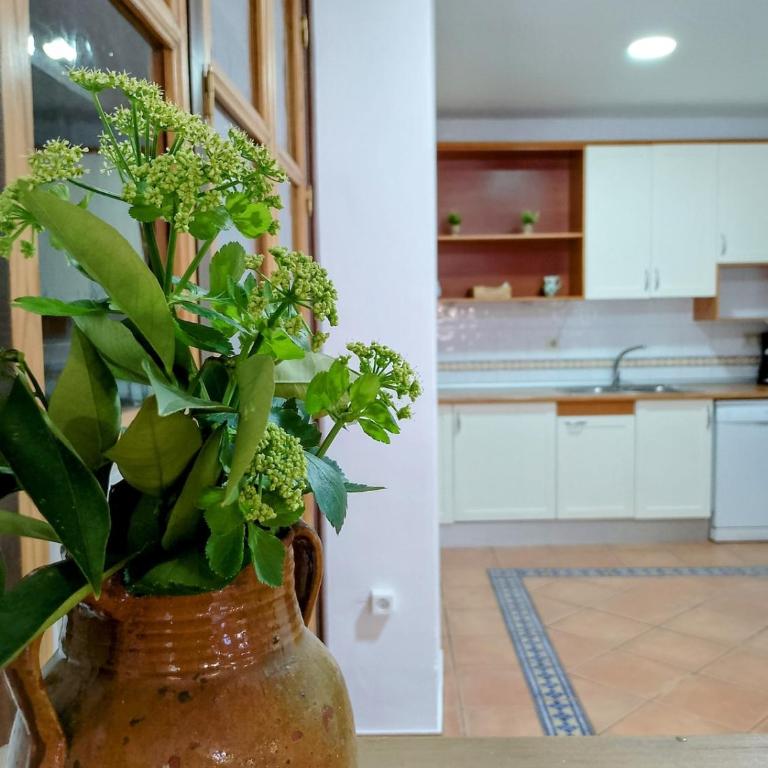 La Alberquilla Alojamiento Rural - Five-Bedroom House - 34