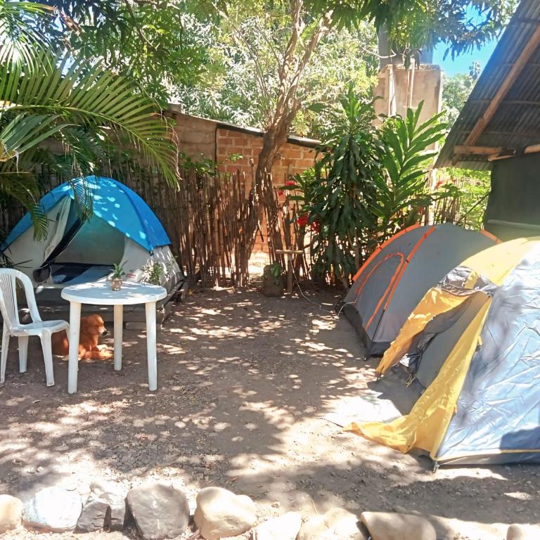 Hostal Palomino EcoHouse & Camping - Tienda - 2