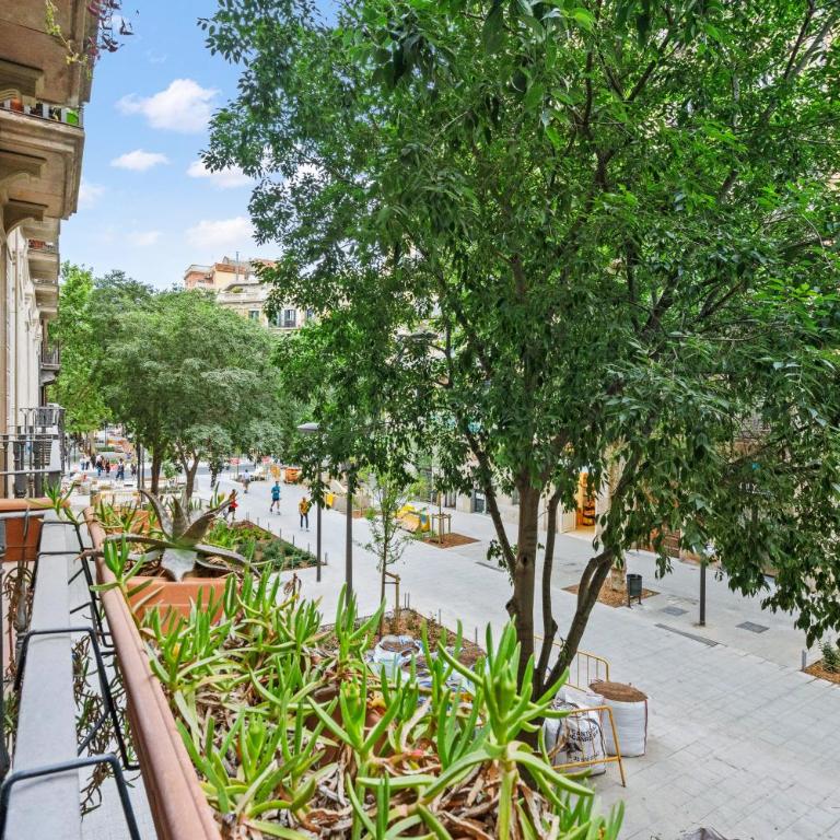 Quiet, vibrant 2 bedroom in pedestrian Eixample - Apartment - 31