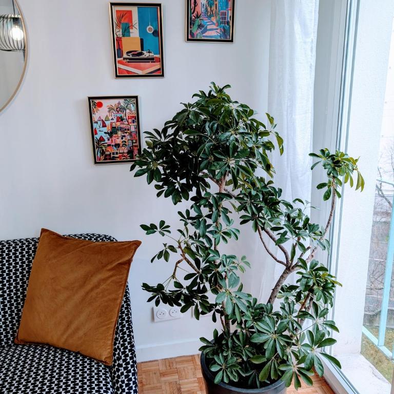 L'appart le 19 , F3 proche centre vue cathédrale, 2 chambres - Apartment mit 2 Schlafzimmern - 48