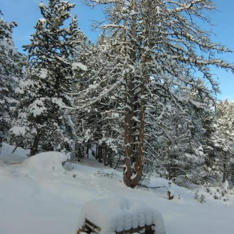 Appartement au cœur de la forêt au calme et proche des pistes et des commodités - Appartement 2 Chambres - 17