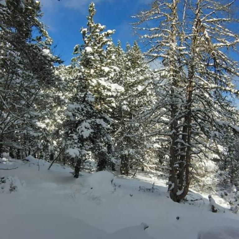 Appartement au cœur de la forêt au calme et proche des pistes et des commodités - Appartement 2 Chambres - 12