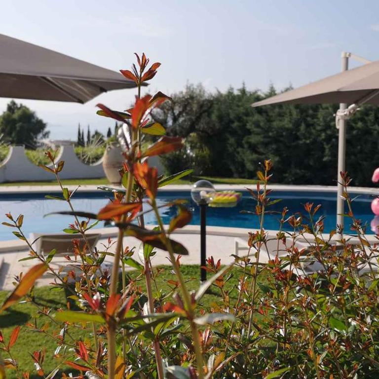 Holiday home in Lazise - Gardasee 39034 - Villa - 15