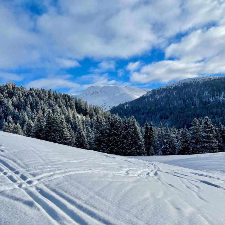 Apartment in South Tyrol with a beautiful panoramic view - One-Bedroom Apartment with Balcony - 53