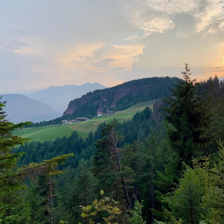 Apartment in South Tyrol with a beautiful panoramic view - One-Bedroom Apartment with Balcony - 38