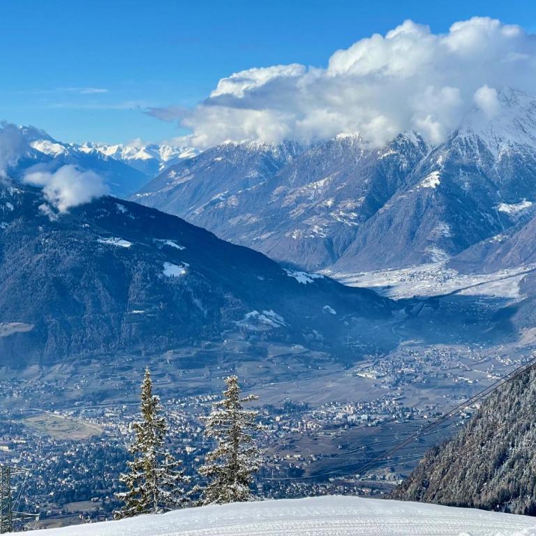Apartment in South Tyrol with a beautiful panoramic view - One-Bedroom Apartment with Balcony - 48