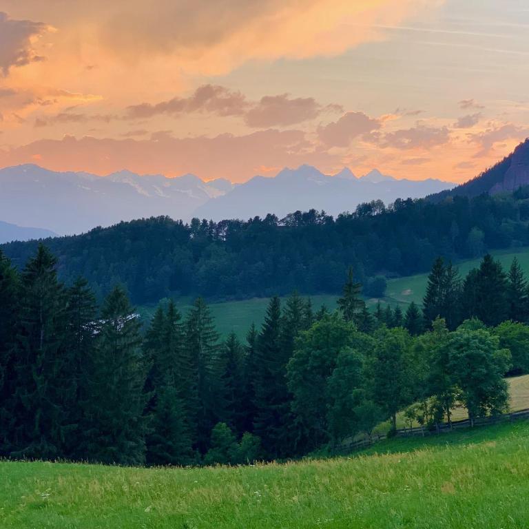 Apartment in South Tyrol with a beautiful panoramic view - One-Bedroom Apartment with Balcony - 43
