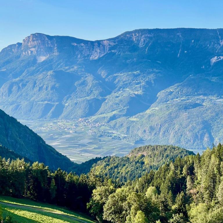 Apartment in South Tyrol with a beautiful panoramic view - One-Bedroom Apartment with Balcony - 46