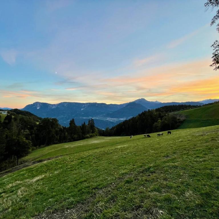 Apartment in South Tyrol with a beautiful panoramic view - One-Bedroom Apartment with Balcony - 41