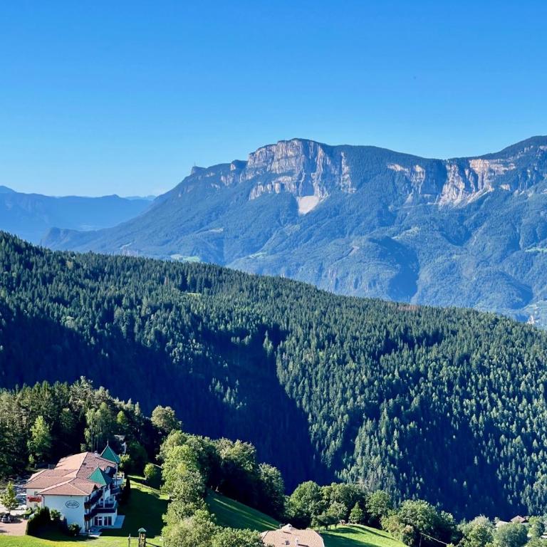Apartment in South Tyrol with a beautiful panoramic view - One-Bedroom Apartment with Balcony - 45