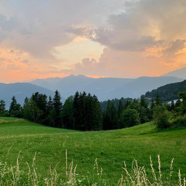 Apartment in South Tyrol with a beautiful panoramic view - One-Bedroom Apartment with Balcony - 37