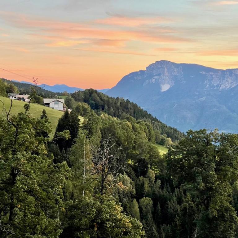Apartment in South Tyrol with a beautiful panoramic view - One-Bedroom Apartment with Balcony - 34