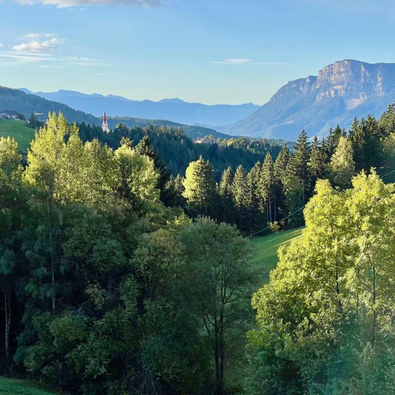 Apartment in South Tyrol with a beautiful panoramic view - One-Bedroom Apartment with Balcony - 36