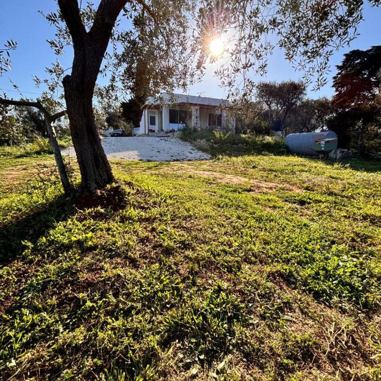 Villa Maresca - countryside house in Carovigno - Two-Bedroom House - 15