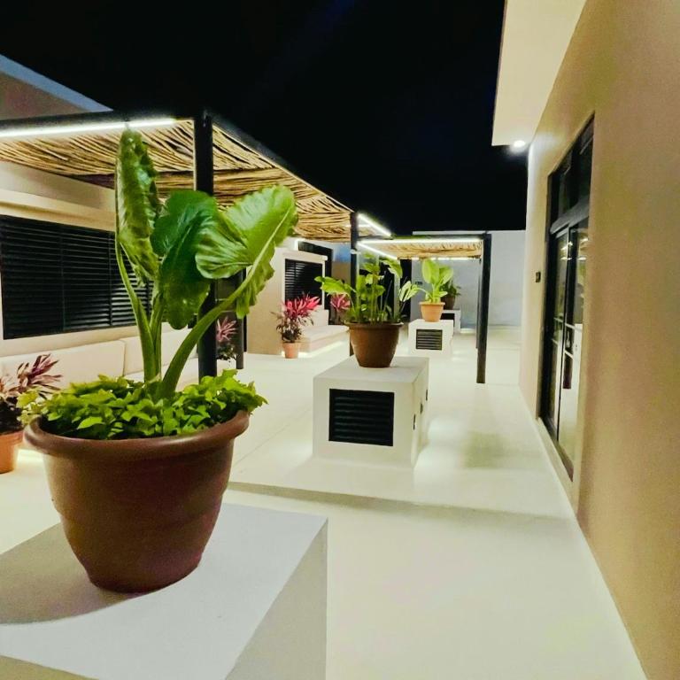 Alma del Caribe Cancun - Two-Bedroom Apartment - 27